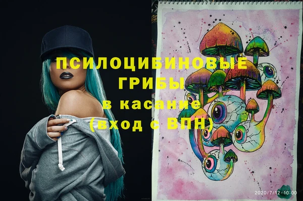 дмт Богородск