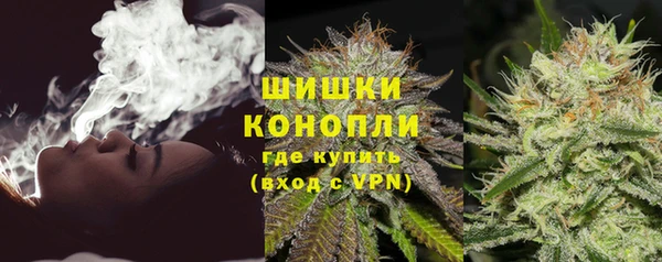 дмт Богородск