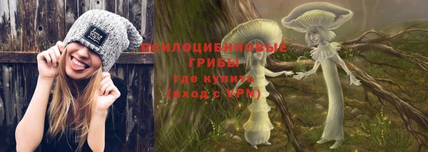 дмт Богородск