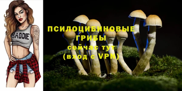 кокаин Богородицк